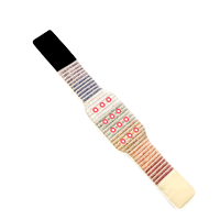 HealzPro Photon PEMF Infrared Therapy Belt